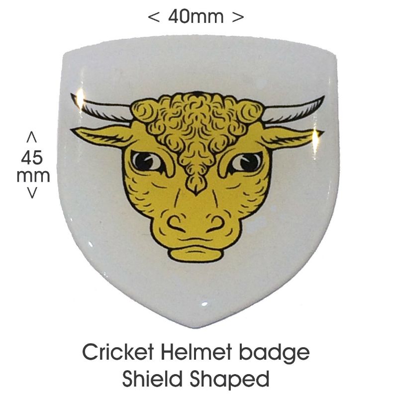 Helmet Badge Shield Shape